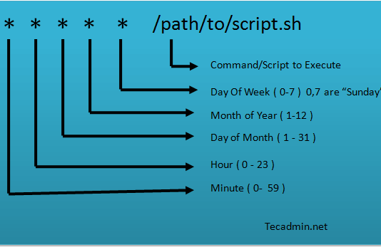Laravel hướng dẫn cài đặt cron job trên hosting cpanel Crontab Laravel cron job