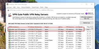 Cách sử dụng phần VPN Gate dùng public VPN nước ngoài Cách sử dụng VPG gate dùng open VPN