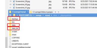 Khắc phục lỗi MySQL shutdown unexpectedly trên Xampp như thế nào? Hướng dẫn cách khắc phục lỗi MySQL expectedly trên Xampp