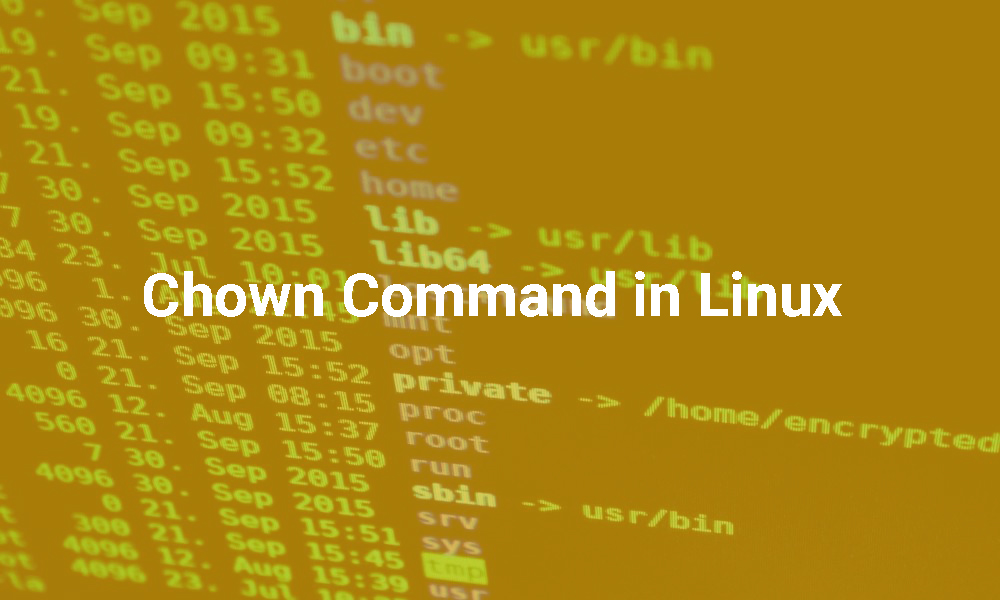 Chown Command in Linux